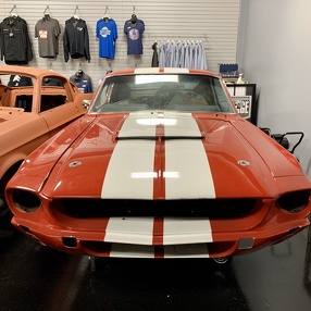 Mustangs